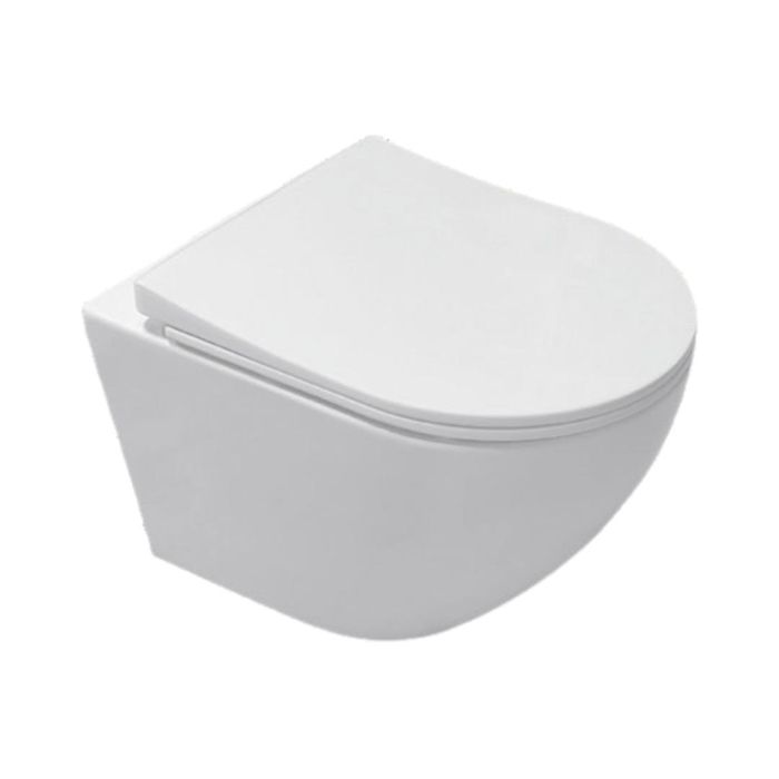 Parryware Wall Mounted White Closet WC Tornado C890Q