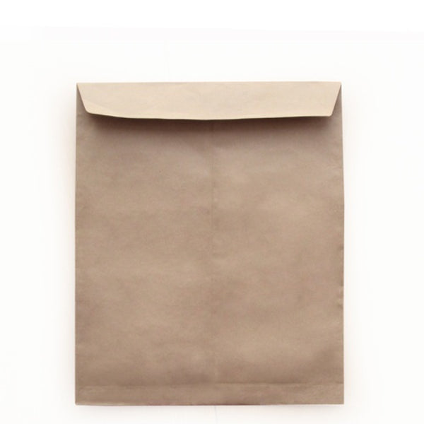 Detec™ Envelope Brown A4 Size (10