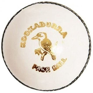 Kookaburra Paceball Cricket Ball 