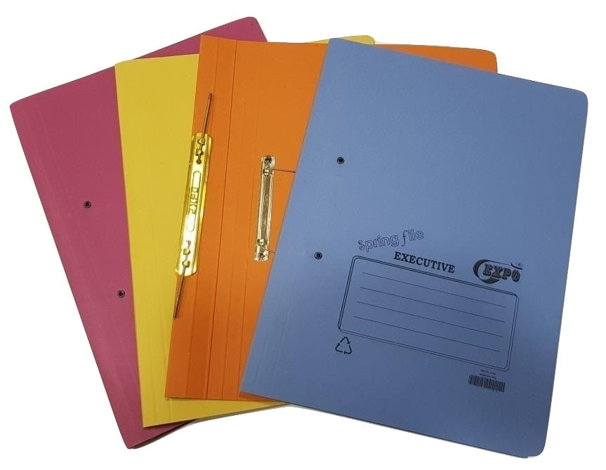 Expo Executive Spring File Pack of 30