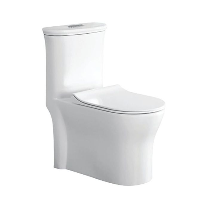 Parryware Floor Mounted White WC Millenia C897I