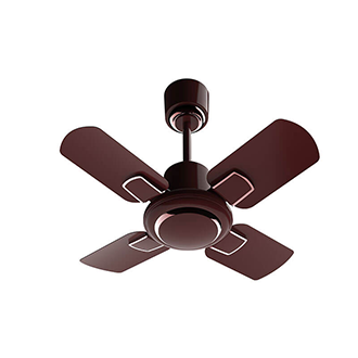 Regal Gold NXG Wine Red 600 mm Ceiling Fan