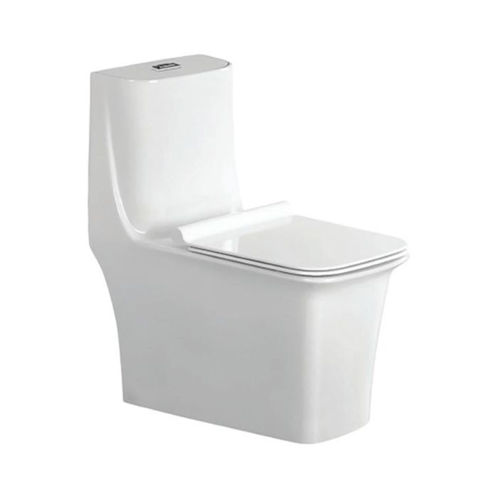 Parryware Floor Mounted White WC Canvas C897K