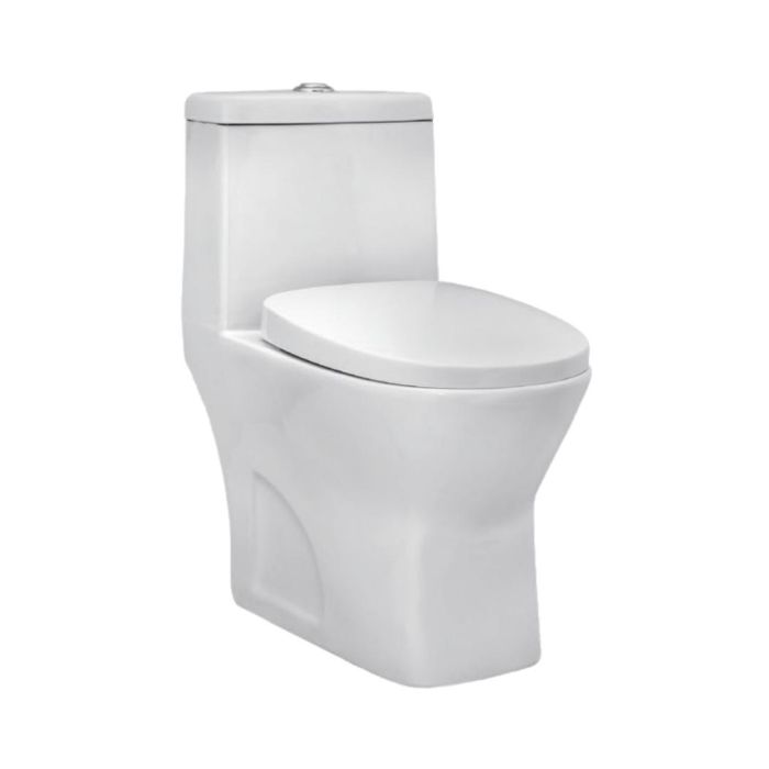 Parryware Floor Mounted White WC Eden C8852