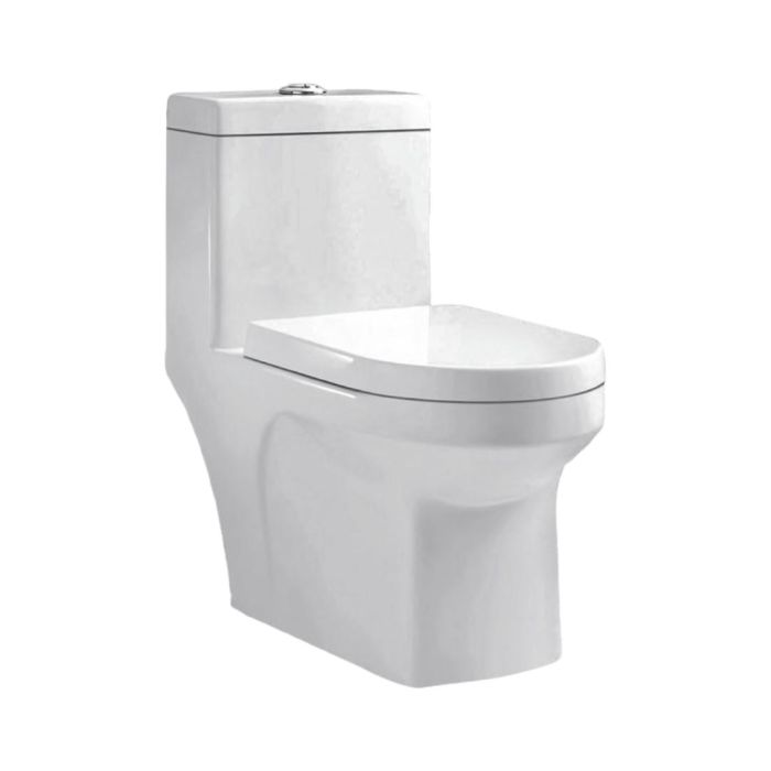 Parryware Floor Mounted White WC Stanza C8979