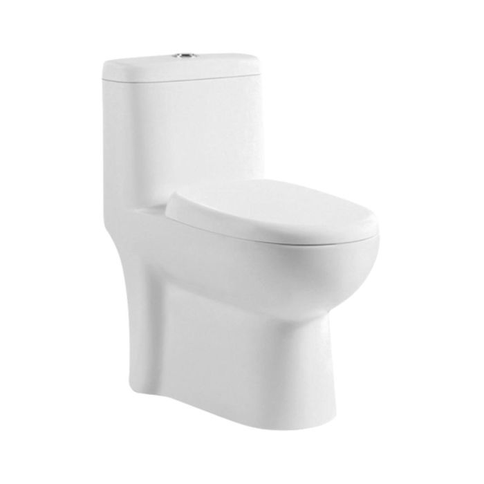 Parryware Floor Mounted White WC Duke C8916