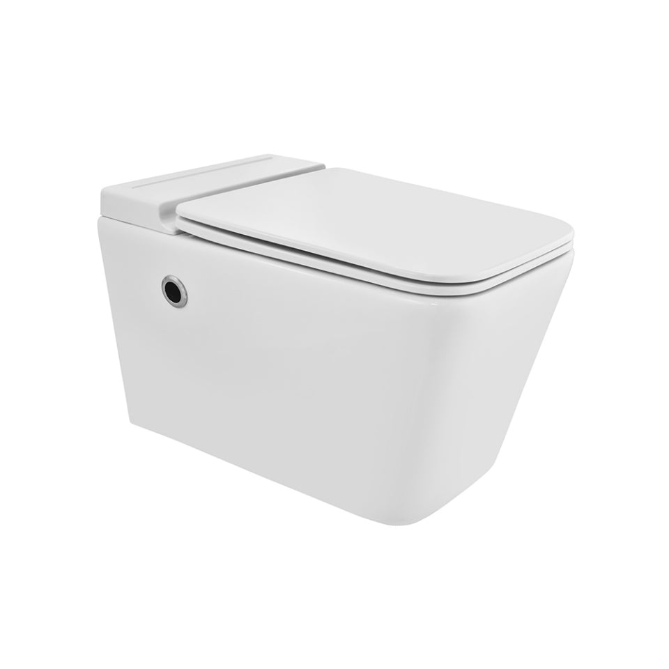 Jaquar Tankless Wall Hung WC ARS-WHT-39961BIUFSMTL