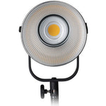 Load image into Gallery viewer, Nanlite Forza 200 Daylight Led Monolight
