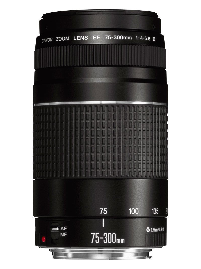 Canon EF 75-300 mm f/4-5.6 III Lens