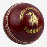 Load image into Gallery viewer, Kookaburra Paceball Cricket Ball 
