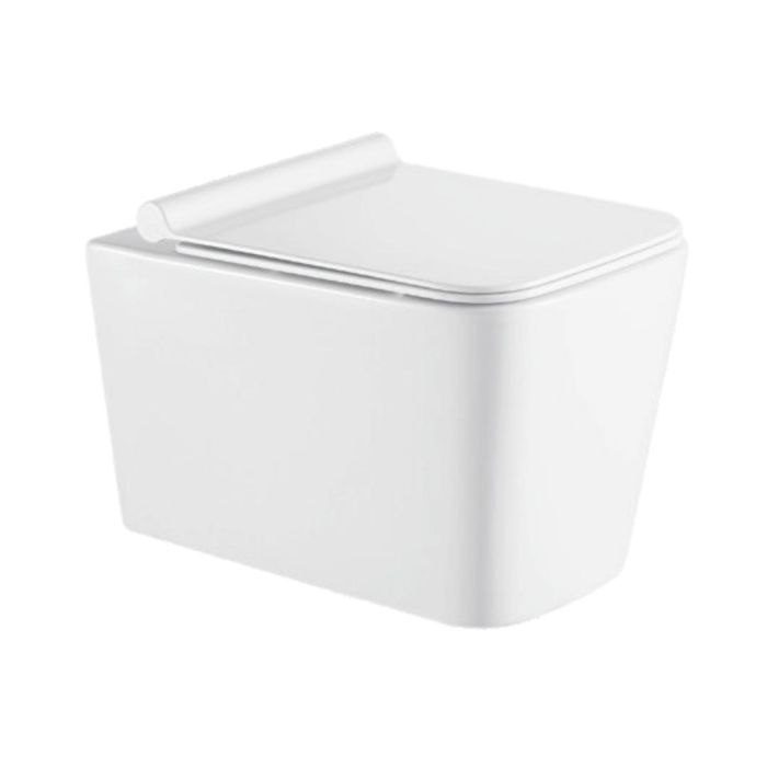 Parryware Wall Mounted White Closet WC Arcade C890W