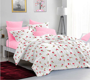 Sleeping Owls Allure 100% Soft Cotton 144 Tc Double Bedsheet with 2Pc Pillow Cover-228Cm X 254 cm