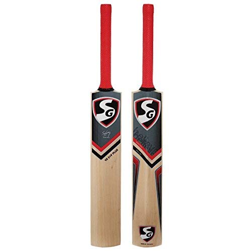SG VS 319 Plus Kashmir Willow Cricket Bat
