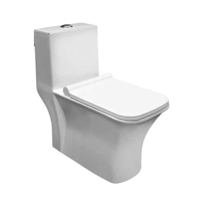 Parryware Floor Mounted White WC Aster C8966