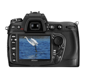 Nikon D300 DX 12.3MP डिजिटल SLR कैमरा (केवल बॉडी)