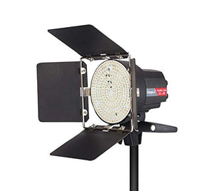 Simpex SL 30W Barn Door Dual Colour Dimmable Mini LED Studio Light for Photography and Videography