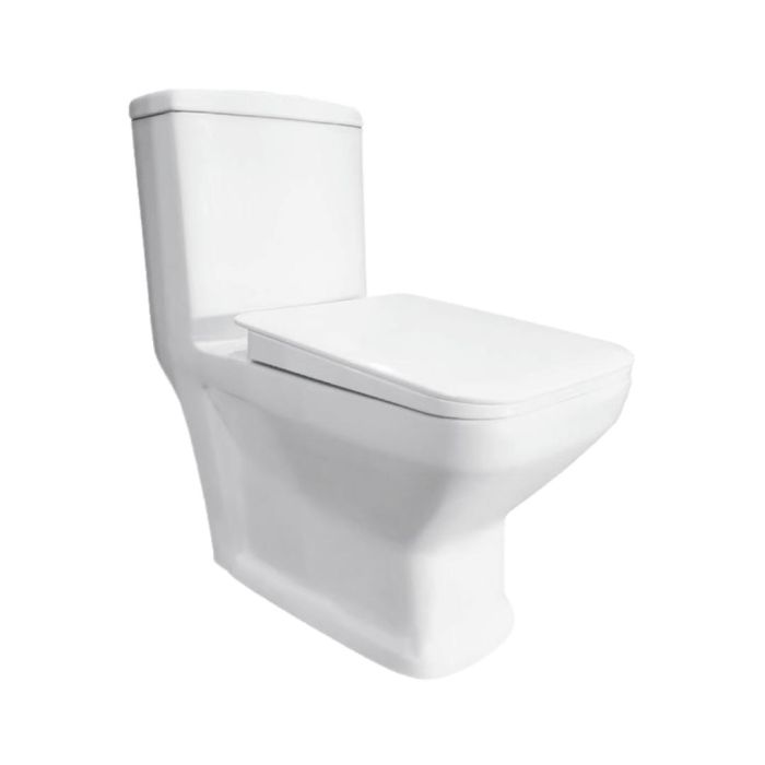 Parryware Floor Mounted White WC Anchor C899I