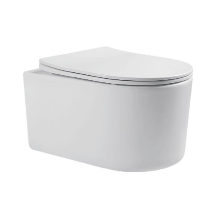 Parryware Wall Mounted White Closet WC Confident C890U