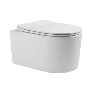 Parryware Wall Mounted White Closet WC Confident C890U