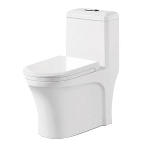 सोमानी क्लिनिक वन पीस शौचालय