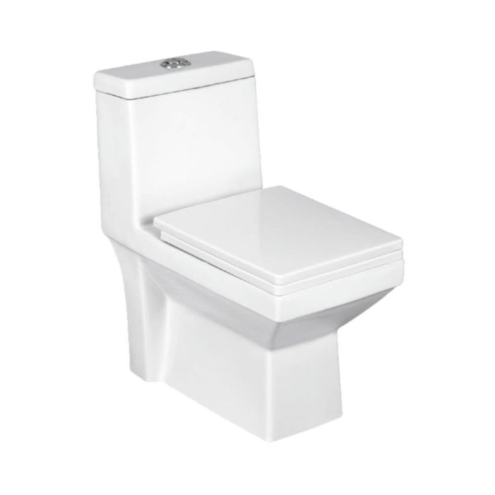 Parryware Floor Mounted White WC Sutra C8965