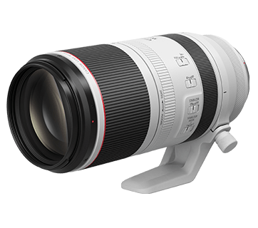 Canon RF100-500mm F/4.5-7.1L IS USM All Rounder Super Tele Zoom