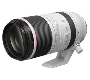 Canon RF100-500mm F/4.5-7.1L IS USM All Rounder Super Tele Zoom