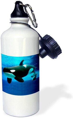 3डीरोज़ किलर व्हेल स्पोर्ट्स पानी की बोतल 21 औंस सफेद