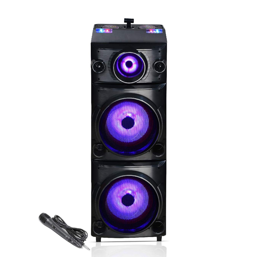 Blaupunkt PS600 Double Deejay Panel Party Speaker 4 feet Black