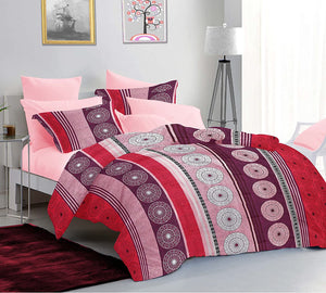 Sleeping Owls Allure 100% Soft Cotton 144 Tc Double Bedsheet with 2Pc Pillow Cover-228Cm X 254 cm