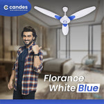 गैलरी व्यूवर में इमेज लोड करें, Candes IOT Smart Wi-Fi - Works With Alexa, Google Assistant, Remote &amp; Candes App (White Blue)

