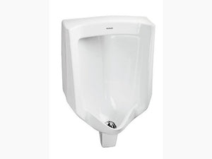 Kohler K-4978IN-ER-0 Urinal with rear inlet in white