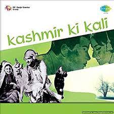 Vinyl & LP Sony DADC Record Kashmir Ki Kali