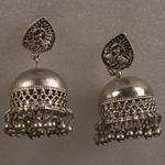 Load image into Gallery viewer, Detec Homzë Earrings - Silver
