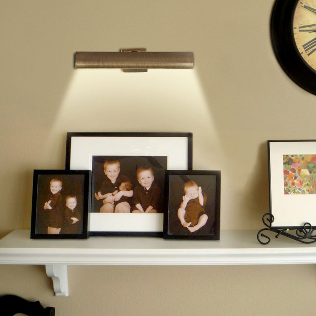 Detec™ Elin Picture Wall Light