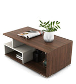 Load image into Gallery viewer, Detec™ Coffee Table in Dual Color
