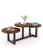 Load image into Gallery viewer, Detec™ Coffee Table - Brown &amp; Black Color
