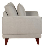 Load image into Gallery viewer, Detec™ Fernand Sofa sets - Ash Grey Color
