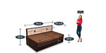 गैलरी व्यूवर में इमेज लोड करें, Detec™ Manuel Sofa cum Bed with Storage &amp; Mattress - Brown Color
