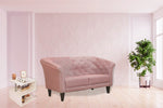Load image into Gallery viewer, Detec™ Esme Loveseat - Blush Color 
