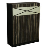 Load image into Gallery viewer, Detec™ Shoe Cabinet in Brown &amp; Ivory Color
