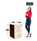 Load image into Gallery viewer, Detec™ Modern Cabinet With 3 Storage - Walnut Color 
