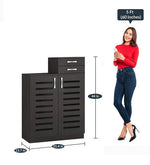 Load image into Gallery viewer, Detec™ Shoe Cabinet with 2 Drawers 
