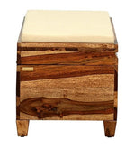 Load image into Gallery viewer, Detec™ Solid Wood Trunk - Rustic Teak Finish
