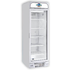 Detec™ Rockwell Visi Freezer  (400 LTR)