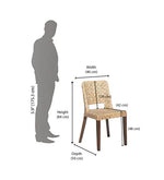 Load image into Gallery viewer, Detec™ Dining Chair in Walnut Colour
