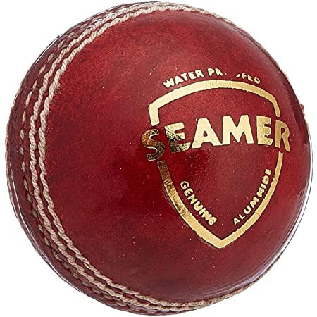SG Seamer Leather Cricket Ball pack of 20