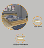 Load image into Gallery viewer, Detec™ Queen Size Bed with Hydraulic Storage in Grey Finish
