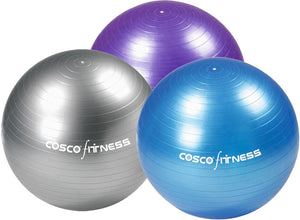 Detec™Cosco Gym Ball 65 cm (Per Pcs)