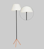 Load image into Gallery viewer, Detec Mizuko Matte Black and Copper Floor Lamp
